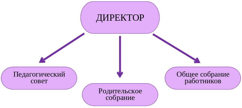 Схема структуры образовательного учреждения